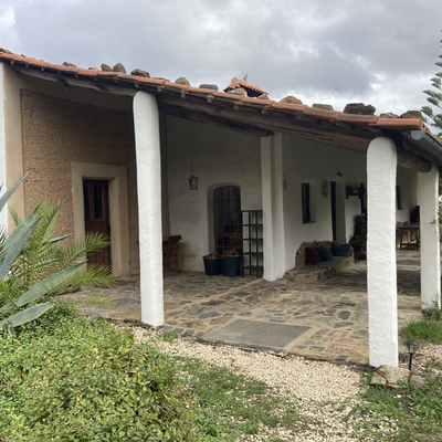 vegane-reisen picture