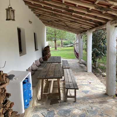 vegane-reisen picture