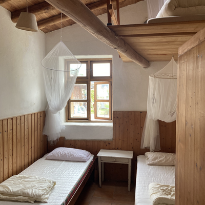 vegane-reisen picture