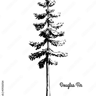 Friendlyprimate picture