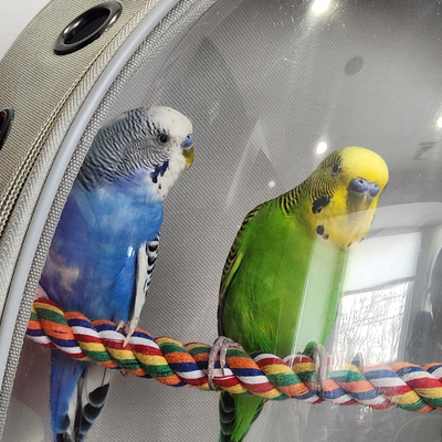 AllinmiAngel picture