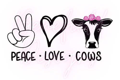 MaryTDMoo picture