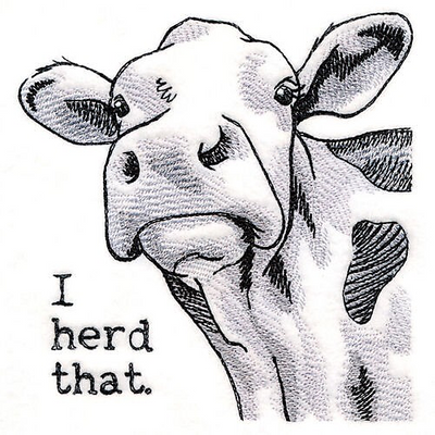 MaryTDMoo picture