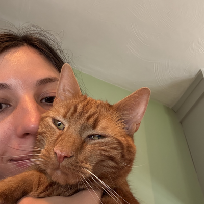 meowmal29 picture