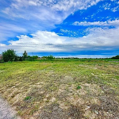 FrankSanders picture