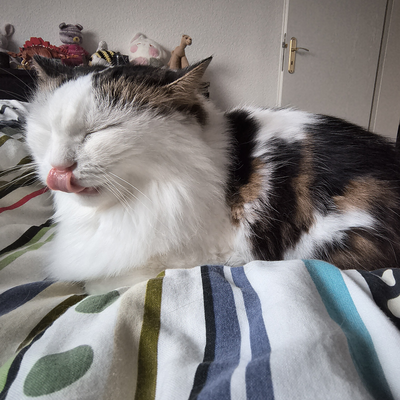 Baguette picture