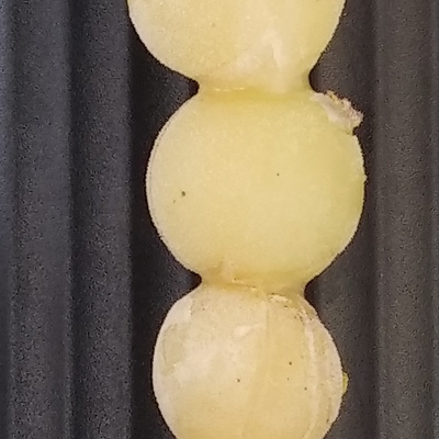 Vivifoodtruck picture