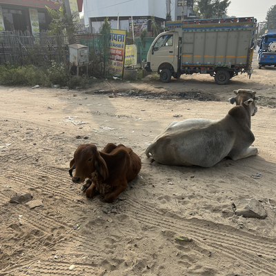 naomiluisalorena picture