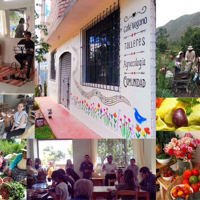 PajaritoSano picture