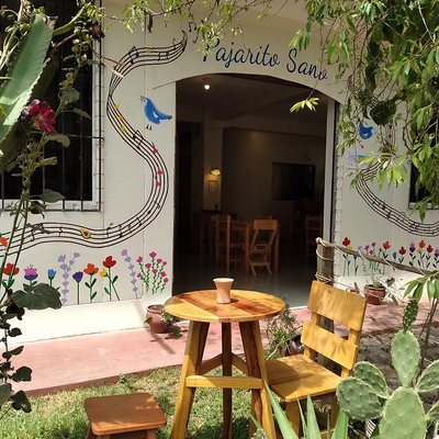 PajaritoSano picture