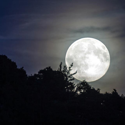 Carolyn.Bell picture