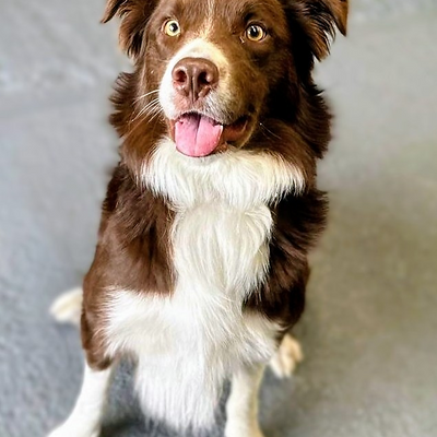 SeitanicFeminist picture