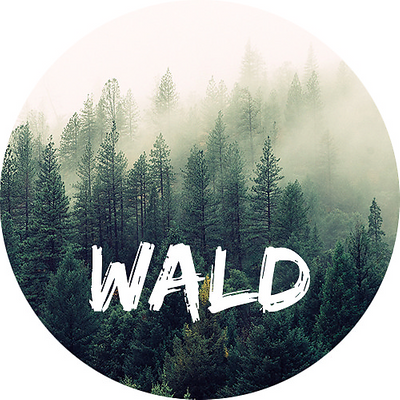 Wald picture
