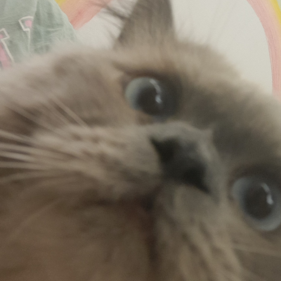 ch1ld_0f_Antumn0s picture