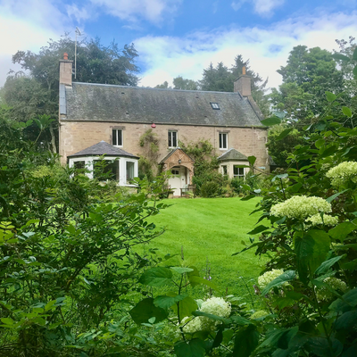 OrganicWelltree picture