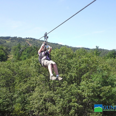 hooray4penguins picture