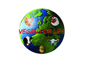 VeganSinnerVeganSaint picture