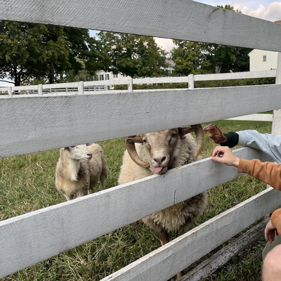 plant_blessed picture