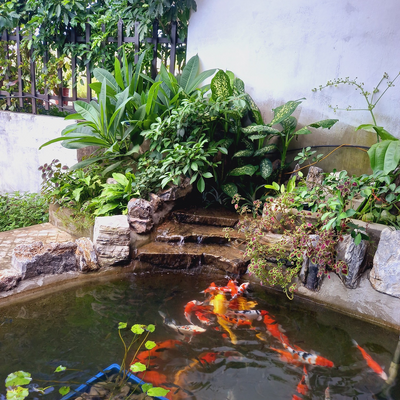 Tamvegetarian picture