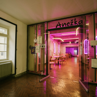 Anežka_Praha picture