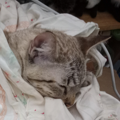 SamuelStorie picture