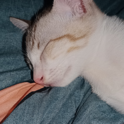 SamuelStorie picture