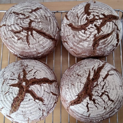 THEVEGANSHEAVEN picture