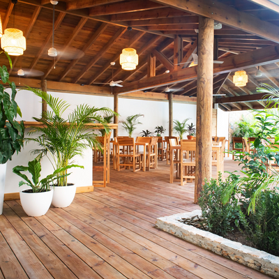 NabooRestaurant picture