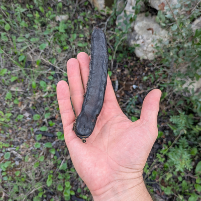 L.O.V.E.Farmstay picture