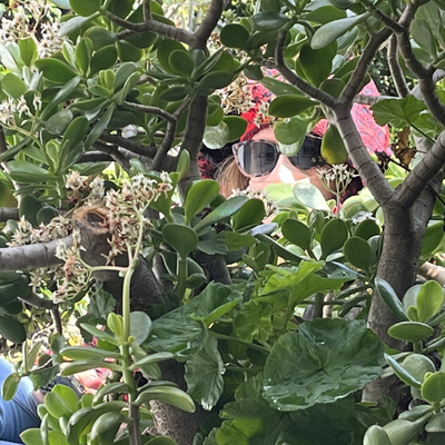 super_marisa picture