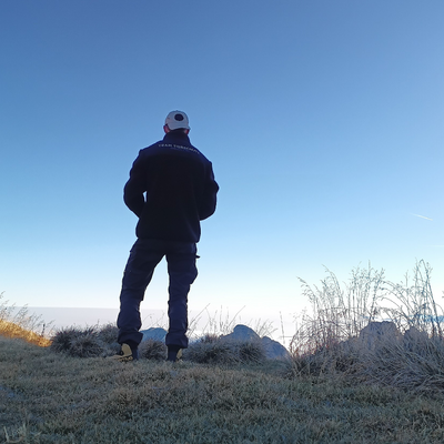 Stingray_269 picture