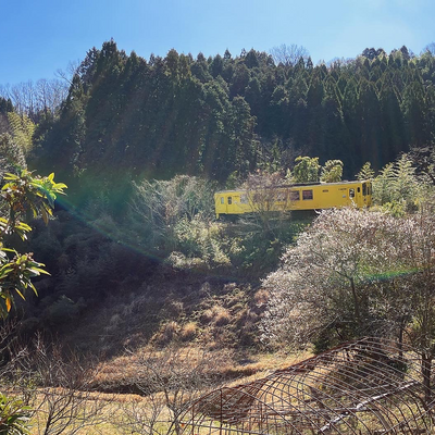 cafe_cocochi picture