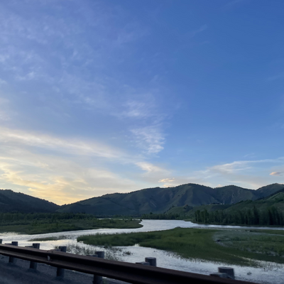 iminveganland picture