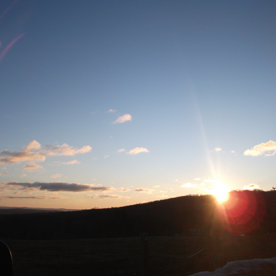 iminveganland picture