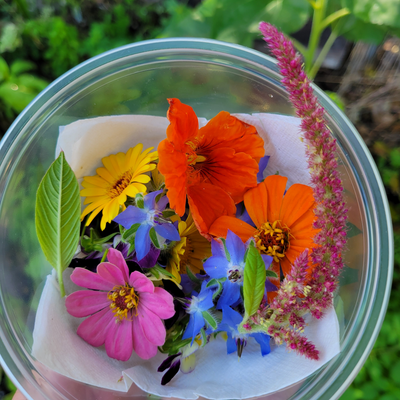 KonchRepublicGreens picture