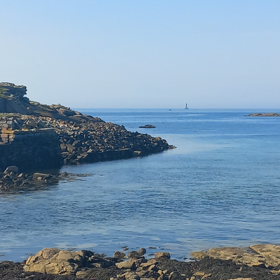 lavoyageusevégane picture