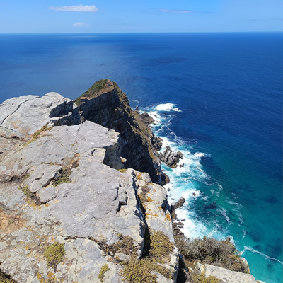 lavoyageusevégane picture