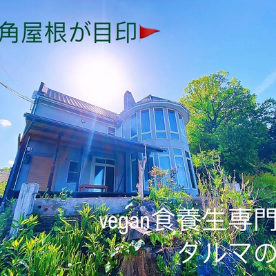 Tottori-darumanoki picture