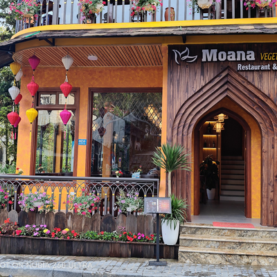MOANAVEGETRIAN picture