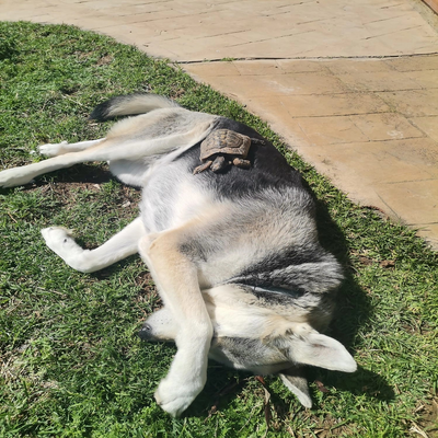 lululululululu picture