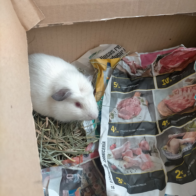 lululululululu picture