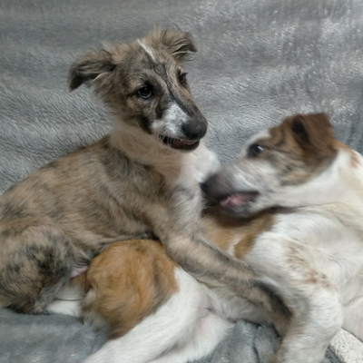 lululululululu picture