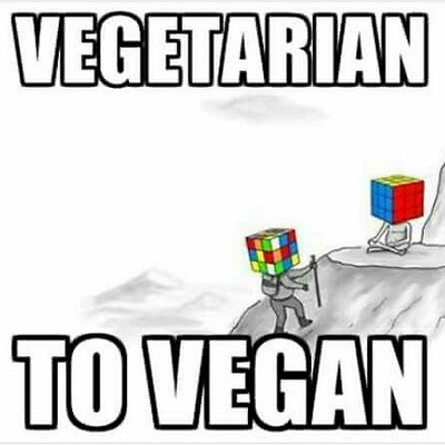 anniveganformycuties picture
