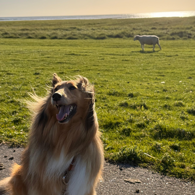 DanielleGrimmer picture