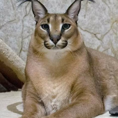 AlvaroValverde picture