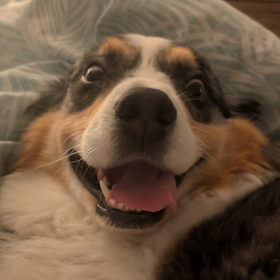 EmilySantiago picture