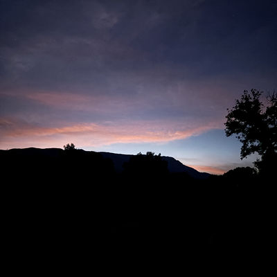 BlueOrchid🦋 picture