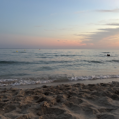 BlueOrchid🦋 picture