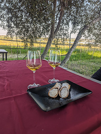 TERREDINOTOCANTINA picture