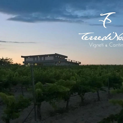 TERREDINOTOCANTINA picture